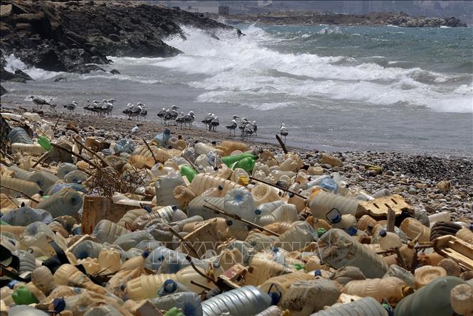 Rác thải nhựa trôi dạt vào bờ biển ở Ouzai, phía nam Beirut, Liban. Ảnh tư liệu: AFP/TTXVN