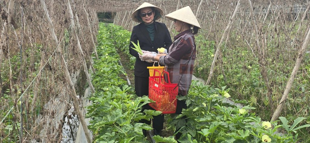 Nhiều hộ dân ở Long An thoát nghèo nhờ Quỹ hỗ trợ cộng đồng David Dương 2 z64982153804141ca2ac974374f3a37470de39157237b8 1744453017000173406048