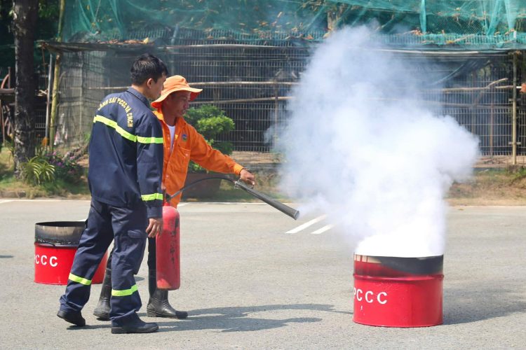 653747792 1226567545905086 1360937145773159219 n